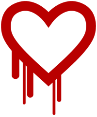 Heartbleed Vulnerability Person Image